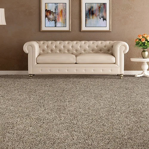 Sistare Carpets & Flooring providing easy stain-resistant pet friendly carpet in Lancaster, SC