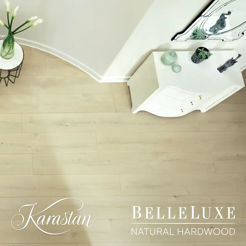 Browse Karastan BelleLuxe products